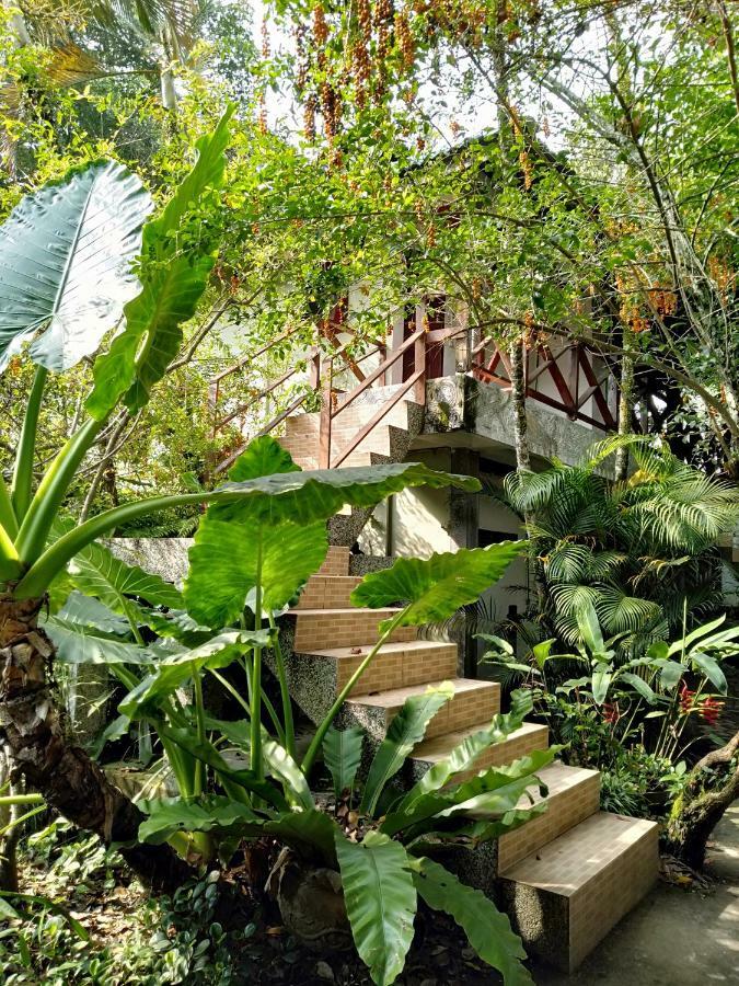 Bagus Bay Homestay توك توك المظهر الخارجي الصورة