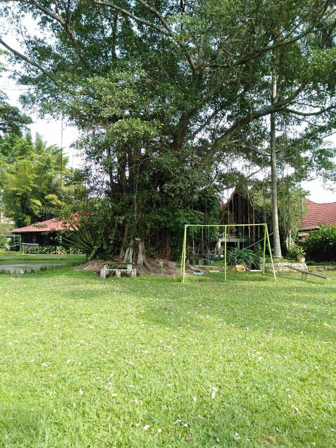 Bagus Bay Homestay توك توك المظهر الخارجي الصورة